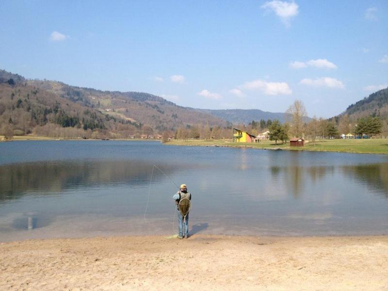 Chalet De Grettery Vila Saulxures-sur-Moselotte Exterior foto